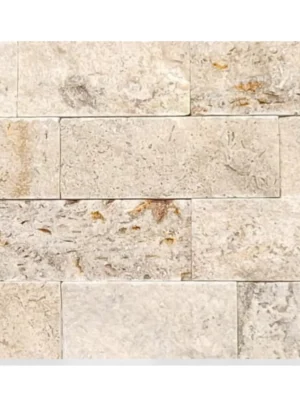 Kamień elewacyjny-dekoracyjny trawertyn Classic Mix 15x61