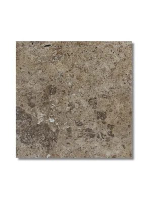 Trawertyn Noce CC Niewypełniony Szlif Bębnowany 20,3x20,3x1,2 cm