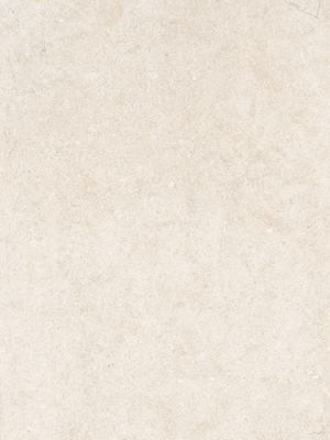 Gres 20mm City White Fossil  45x90x2