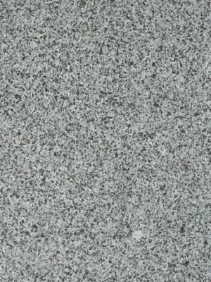 22769.webp